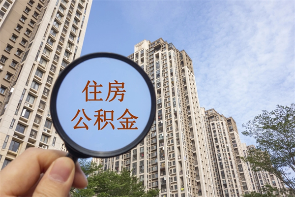 黑龙江离职可以取出公积金吗（离职可以取公积金嘛）